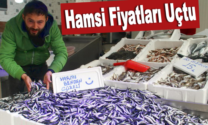 Hamsi Fiyatları Uçtu