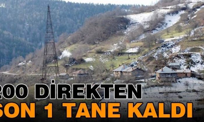 200 Direkten Son 1 Tane Kaldı