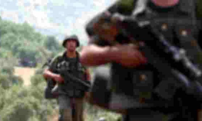 Mardin’de PKK’ya Ağır Darbe