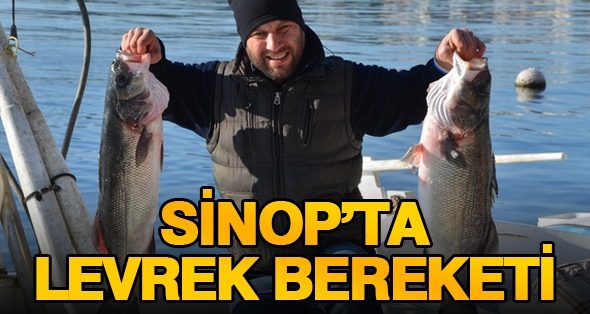 Sinop’ta Levrek Bereketi