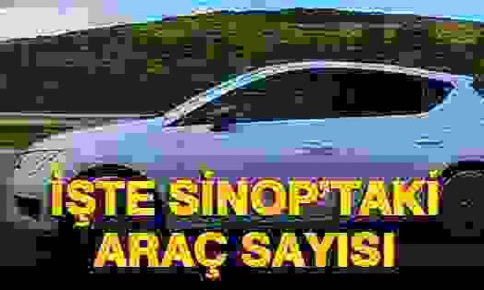 Sinop’taki Araç Sayısı Açıklandı