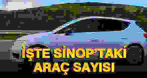 Sinop’taki Araç Sayısı Açıklandı