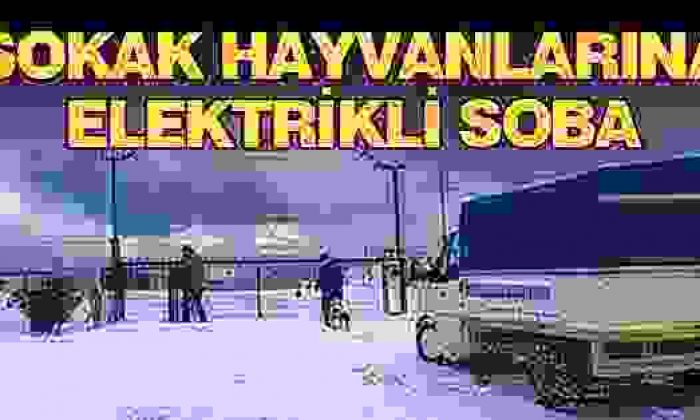 Sinop’ta Sokak Köpeklerine Elektrikli Soba