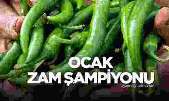 Çarliston Biber Ekonomik Olarak Zararlı! Ocak Şampiyonu Çarliston Biber