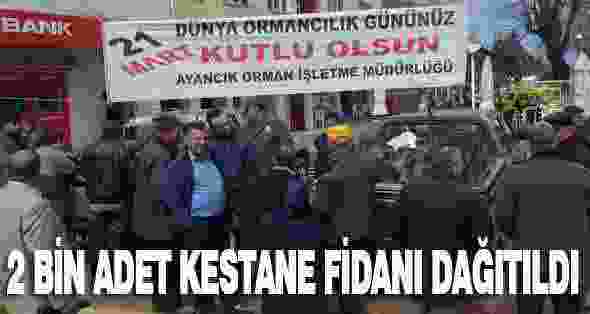 2 Bin Adet Kestane Fidanı Dağıtıldı