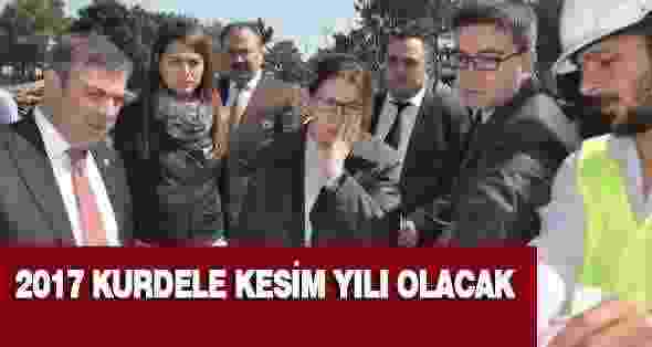 2017 Kurdele Kesim Yılı Olacak