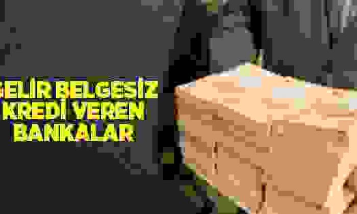 Gelir Belgesiz Kredi Veren Bankalar