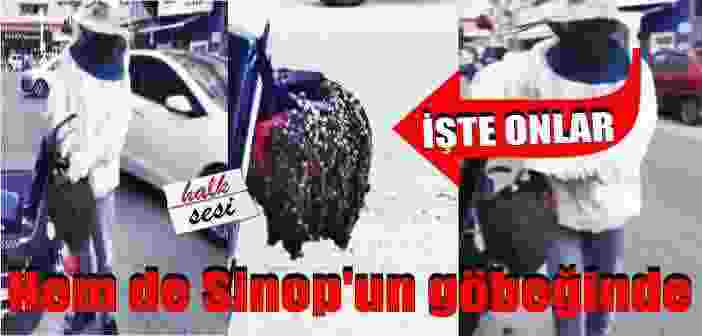 Deniz üzerinden geldiler