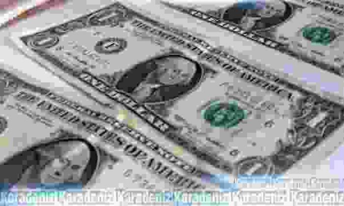 1 Dolarları kanalizasyona attılar!