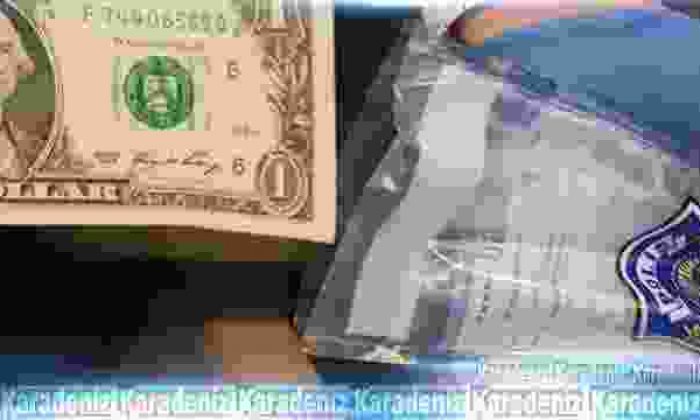 5 kentte akademisyen operasyonu