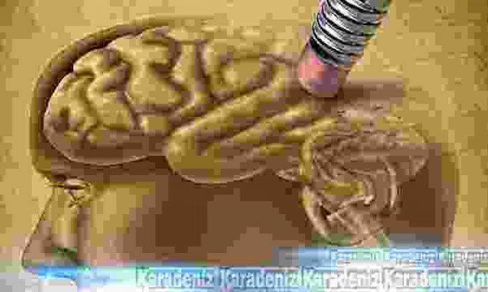 Alzheimer’ı önlemek için bunları yiyin