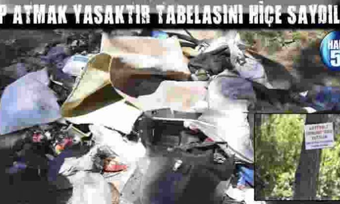 Çöp Atmak Yasaktır Tabelasını Hiçe Saydılar