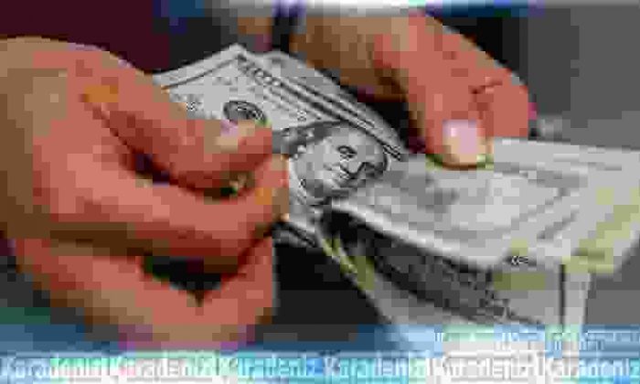 Dolar/TL 3,02’nin altını gördü