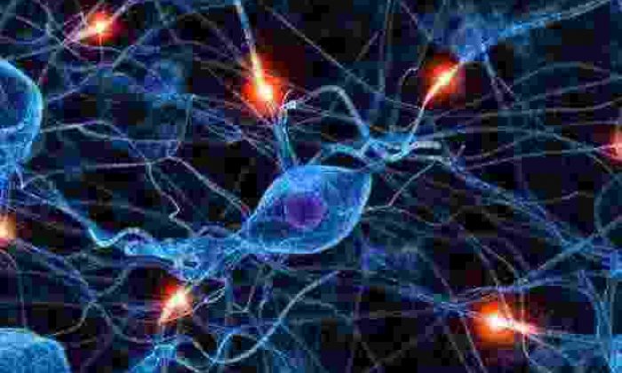 Türkiye’deki Epilepsi Hastası 700 Bini Geçti