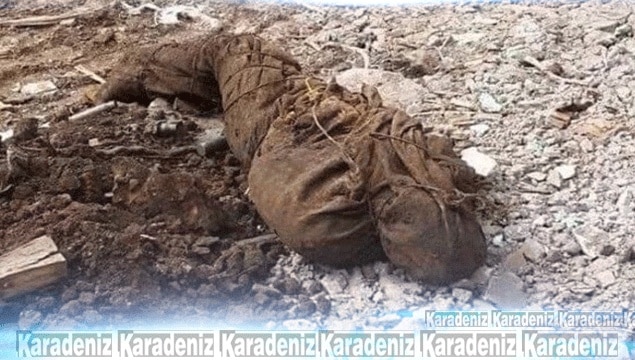 Nusaybin’de 3 PKK’lının cesedi bulundu
