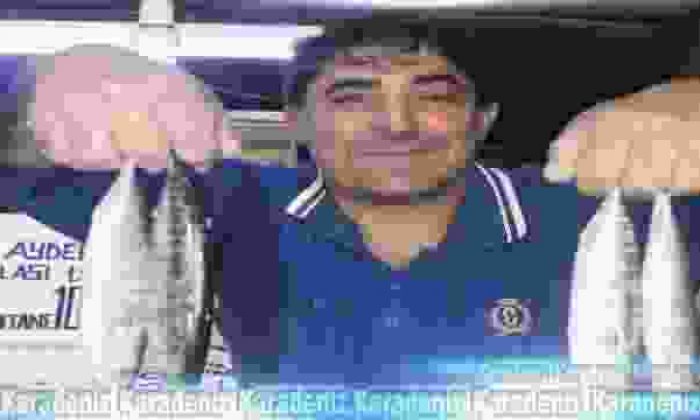 Palamut bu yıl kendini erken gösterdi