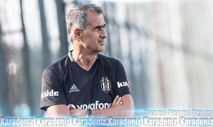 Şenol Güneş’in Gomez yorumu