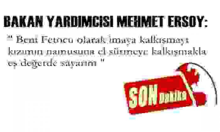 Sert ve tepkili