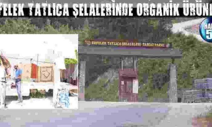Erfelek Tatlıca Şelalerinde Organik Ürünler