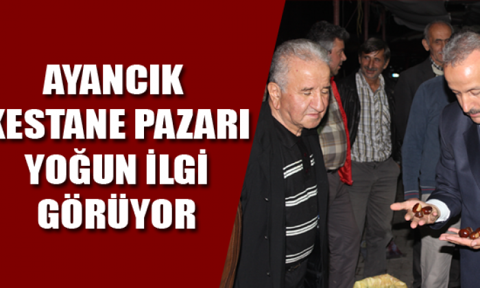 Ayancık kestane pazarı yoğun ilgi görüyor
