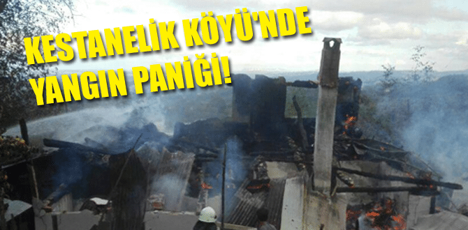 Kestanelik Köyü’nde Yangın Paniği