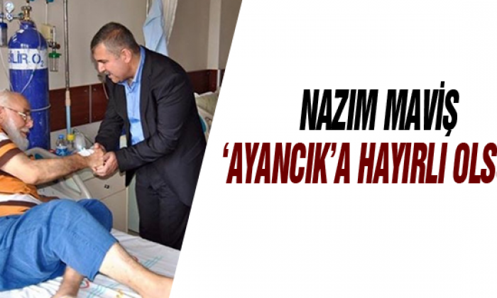Maviş: Ayancık’a Çifte Müjde