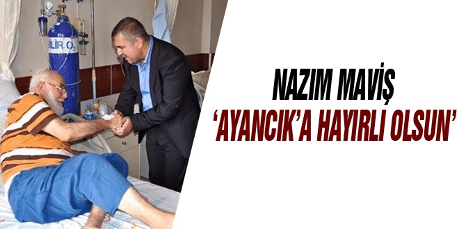 Maviş: Ayancık’a Çifte Müjde