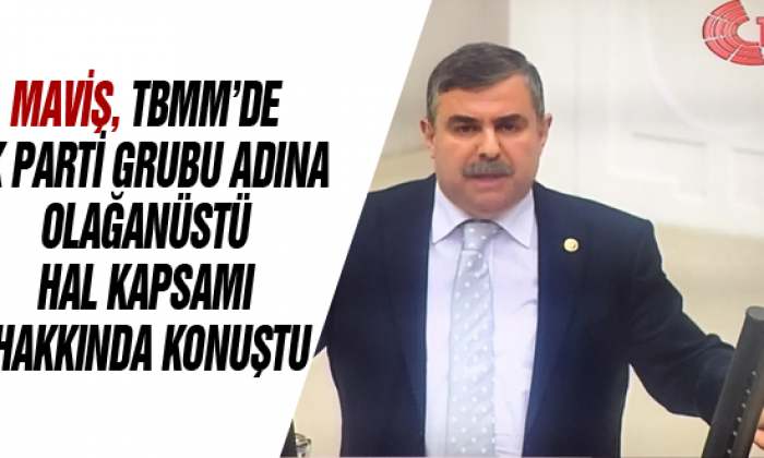Maviş, Tbmm’de Ak Parti Grubu Adına Olağanüstü Hal Kapsamı Hakkında Konuştu
