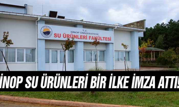 Sinop Su Ürünleri Bir İlke İmza Attı!