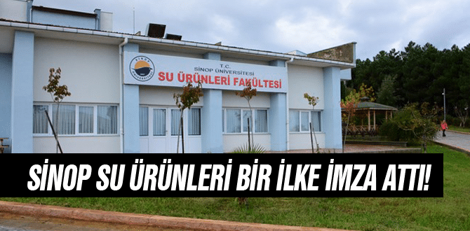 Sinop Su Ürünleri Bir İlke İmza Attı!