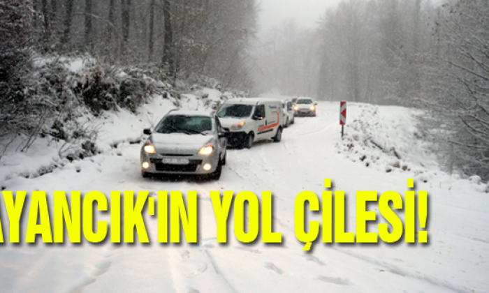 Ayancık’ın Yol Çilesi!