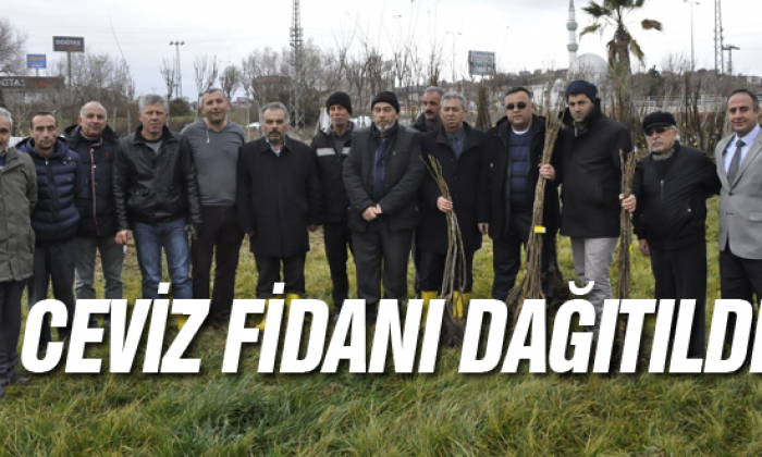 Sinoplu Çiftçilerimize 10.000 Adet Ceviz Fidanı Dağıtıldı