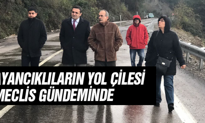 Ayancıklıların Yol Çilesi Meclis Gündeminde