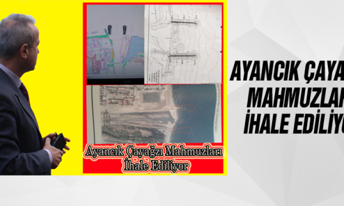 Ayancık Çayağzı Mahmuzları İhale Ediliyor