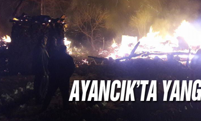 Ayancık’ta Yangın!