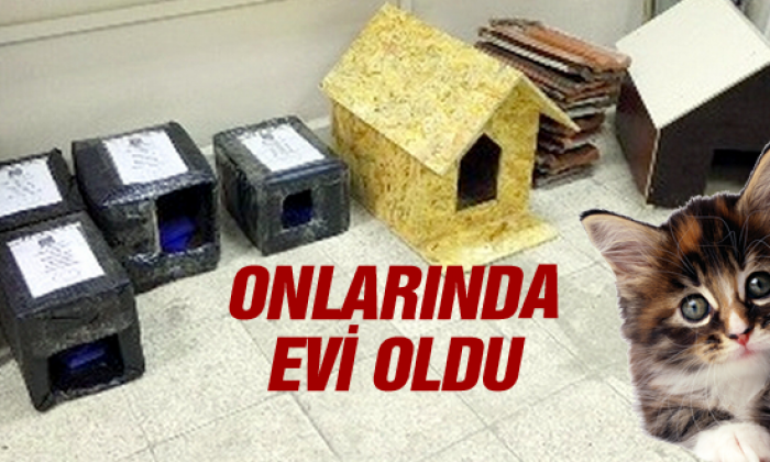 Onlarında bir evi oldu