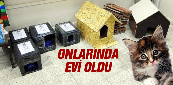 Onlarında bir evi oldu