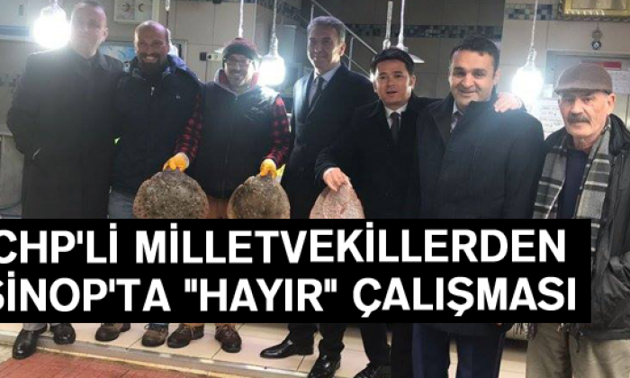 Chp’li Milletvekillerden Sinop’ta “Hayır” Çalışması