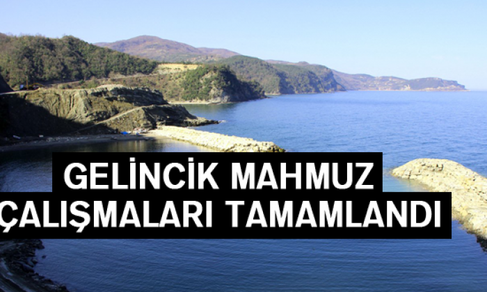 Gelincik Mahbuz Çalışmaları Tamamlandı