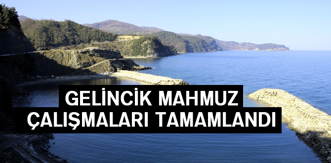 Gelincik Mahbuz Çalışmaları Tamamlandı