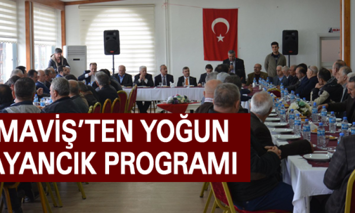 Milletvekili Nazım Maviş Ayancık’ta Muhtarlarla Buluştu