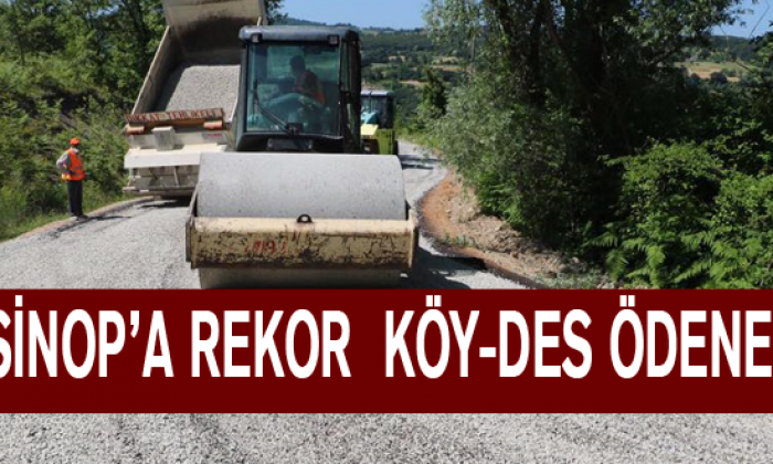 Maviş Müjdeyi Verdi: Sinop’a Rekor Köy-Des Ödeneği