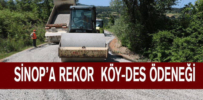 Maviş Müjdeyi Verdi: Sinop’a Rekor Köy-Des Ödeneği