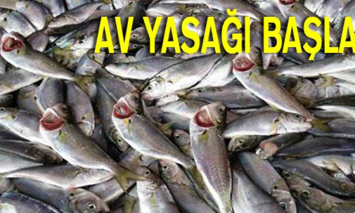 Av yasağı başladı