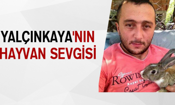 Yalçınkaya’nın Hayvan Sevgisi