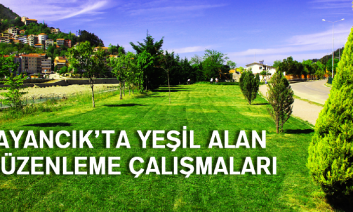 Ayancık’ta Yeşil Alan Düzenleme Çalışmaları
