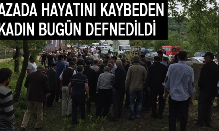 Uçuruma yuvarlanan pikapta hayatını kaybetti