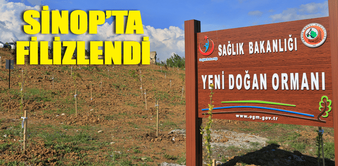 “Yeni Doğan Ormanı” Sinop’ta filizlendi