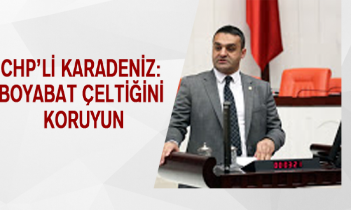 Chp’li Karadeniz: Boyabat Çeltiğini Koruyun