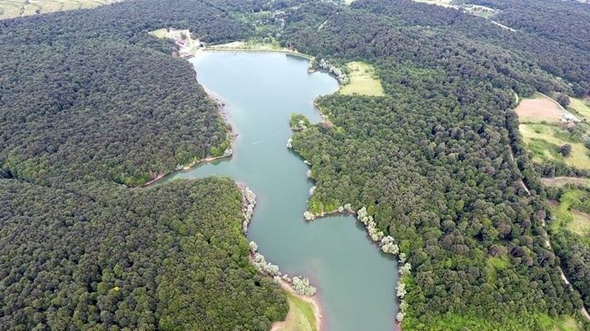 Sinop Ta Göletlerde Balık Bereketi